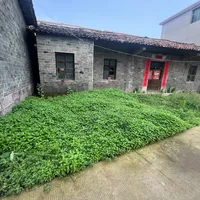 薄荷别急着地栽：5块钱一盆的苗能吞掉整个院子，真要地栽先学会正确姿势