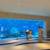 亚特兰蒂斯水族馆门票198元，为什么很多人不买？全网收藏超3万的“0元看鱼”路线，我替你核了一遍
