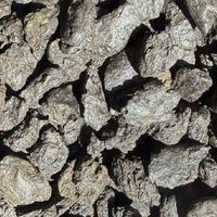 一口糯甜丝滑！班章碎银子茶化石，熟茶口粮天花板