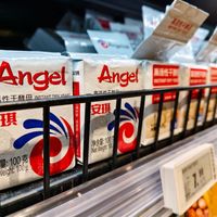 安琪酵母中报拆解:满产、酵母蛋白供不应求,但91.87亿还是靠那袋酵母