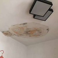 查漏报告:天台架空层地砖填缝打胶失效是必然的!