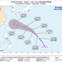 台风“沙德尔”可能直奔华东：到之前，你阳台上的花要先分好这三类