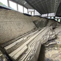 带娃挖化石？49元能合法挖菊石，私自野挖可能罚20万