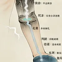 处暑撞上三伏最后一天：网上"祛湿派"和"润燥派"，其实在说两类人