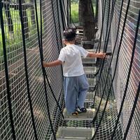 版纳“丛林飞跃”暑期档绳索断裂：丛林穿越乐园还能不能带娃去，买票前先看清这几件事