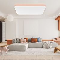 智能护眼吸顶灯蓝光等级RG0显指Ra95 支持米家支持苹果Homekit
