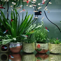 草缸度完夏别急着翻缸：3个信号定去留，这笔成本账我替你算完了