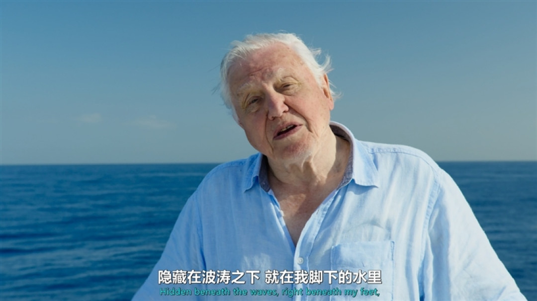 行业首款主动式AI眼镜！雷鸟iO评测：它能记录你的整个人生