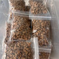 猫粮开封后能放多久？对了一遍全网，说法差了快9倍，你那袋618囤的快到期了
