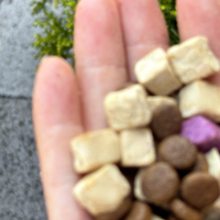 麦富迪乐活冻干粮，搞定挑食软便，肠胃调理这事儿真没白花钱