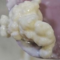 开菲尔菌粒长得比吃得还快:入坑前,先比一比菌粒、菌粉、成品这三条路