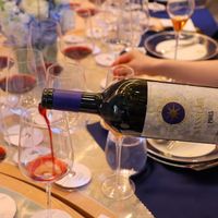 西施佳雅到手，怎么开才不糟蹋？2023新年份开瓶即饮，老年份得慢慢来