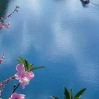 湿疹反复、干痒抓挠?这几款舒缓修护宝宝面霜推荐