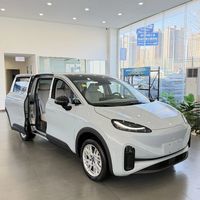 4.6万余辆极狐考拉被召回：问题不是车门打不开，而是应急拉手难找，车主先做三件事