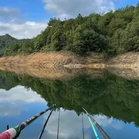 窝里有鱼就是不咬钩？闷热天野钓没口，先别急着怪资源，按这4步排查