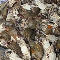 梭子蟹价格大跳水，拼筐能到20多元一斤，但头茬蟹可能空壳：抢头网鲜之前，先看这份跨城实价表和三种走法