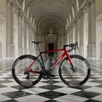 21.88万的Rossa今天满一岁，环西明天开赛：同样是COLNAGO，有台拍出135万，有台二手跌到5万出头