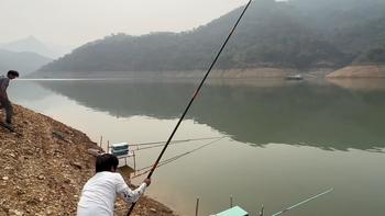 鲢鳙季只剩一个月窗口：三笔账算清选竿，综合竿能替吗、轻量值不值、硬还是软