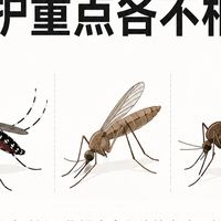 从东南亚回来发烧，先别急着吃布洛芬：中疾控把蚊媒传染病列为8月提示首位，旅行者要记住的14天规则
