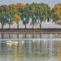 看完邓刚的视频想买"同款饵料"？我翻了全网实测口碑，有的值得买，有的真别跟