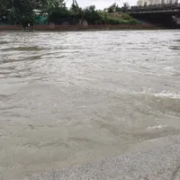 涨水=鳜鱼没口？汇总全网近期15个案例：打龟的看水位，爆护的看水色