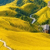“华南最早的秋天”刷屏了，但先别急着去：8月下旬的龙脊梯田还是绿的，中秋国庆看金浪的时间表、选寨攻略和费用账都在这里
