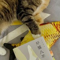 别转“王朔语录”了，2026年能直接向他本人提问：问了真答，还可能拿到签名书