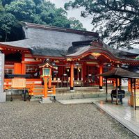 有人说它新手友好，有人走完直呼后悔：国庆去熊野古道，先选“走哪档”再看预算
