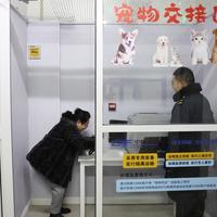 猫狗送外地，1000公里报价300块？翻了十几条曝光帖，托运的套路就这么几种