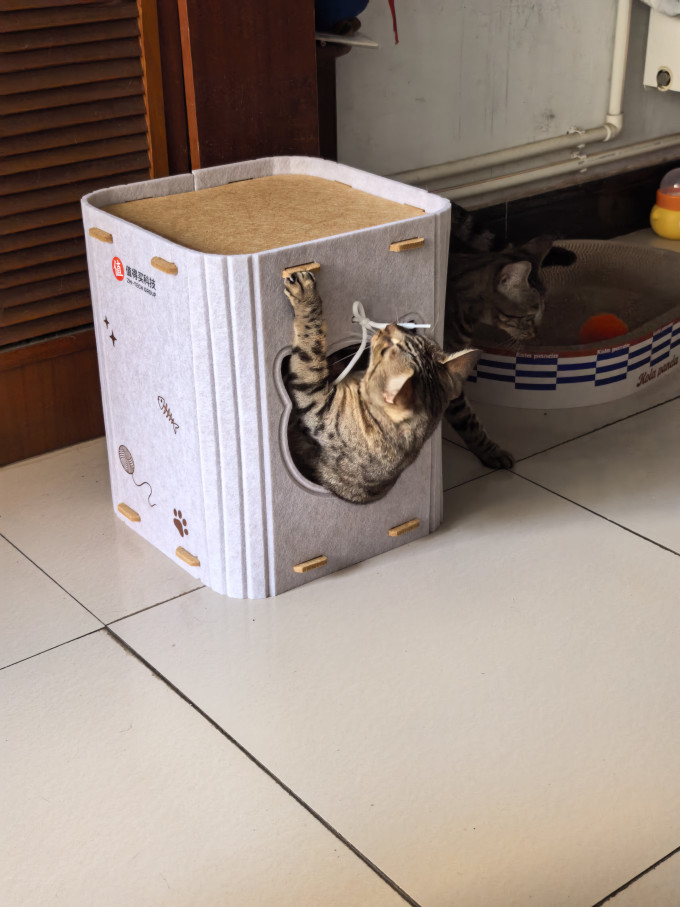 猫狗窝