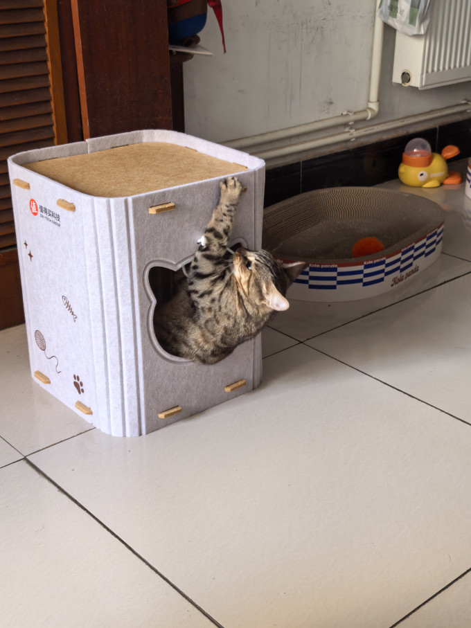 猫狗窝