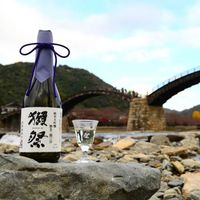 清酒獭祭被"祛魅"了？翻了全网20多条真实喝感，聊聊45、39、23怎么选、怎么买不踩坑