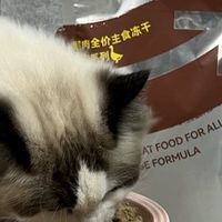 2026年国产主食冻干红黑榜，这8款闭眼入不踩雷