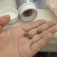 人到中年真的要重视辅酶 Q10✨