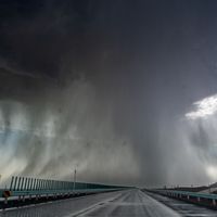 台风“紫檀”正式编号，暴雨连下三天：不得不冒雨开车的话，先记住这3个数字