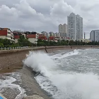 台风浪来了：4张板战损2张，这波浪值不值得下水？先算清这笔账