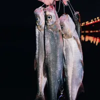 翘嘴跟饵不咬别急着换饵：今夏钓友圈讨论最多的4个解法，以及什么时候该认赔