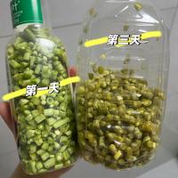 8.5万赞的“矿泉水瓶腌酸豆角”刷屏，跟做之前，先把容器的3个坑看明白