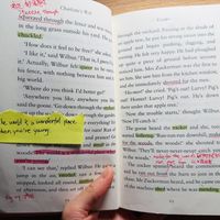 《夏洛的网》：很多人的第一本英文原版，难度、版本坑和读法一次说清