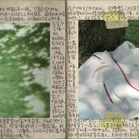 FILA呼吸壳二代上市：粉丝狂欢刷屏热搜，掏钱前先搞清这三件事