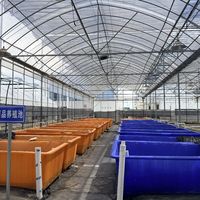 白露快到了，黄鳝进入“最危险的20天”：把全网老师傅的过关注法对了一遍，整理出这份行动清单