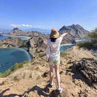 科莫多7.7级地震一周:帕达尔岛封到今日,8月底的行程还要不要去?