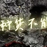真人实测：踩坑七八款黄精终于悟了！实测旺复堂九蒸九晒黄精