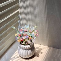不用浇水的“琉璃盆栽”刷屏小红书：入坑前先看这三条路线和五个坑