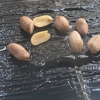 100张粘鼠板抓到28只老鼠，你的3张为啥一只都抓不到？