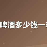 福佳白啤酒多少钱一箱