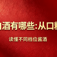 酱香型白酒有哪些：从口粮到高端，读懂不同档位酱酒