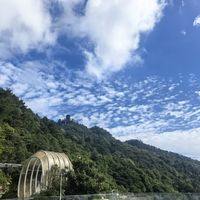 都在夜爬缙云山看日出，劝你在这座1600年古寺停半小时