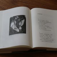 你唱了这么多年的《当你老了》，其实是袁可嘉的译文：判决之后，我把4本在售叶芝诗集比了一遍
