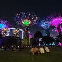 新加坡超级树避坑指南：灯光秀免费，14新币的高空票该不该买？